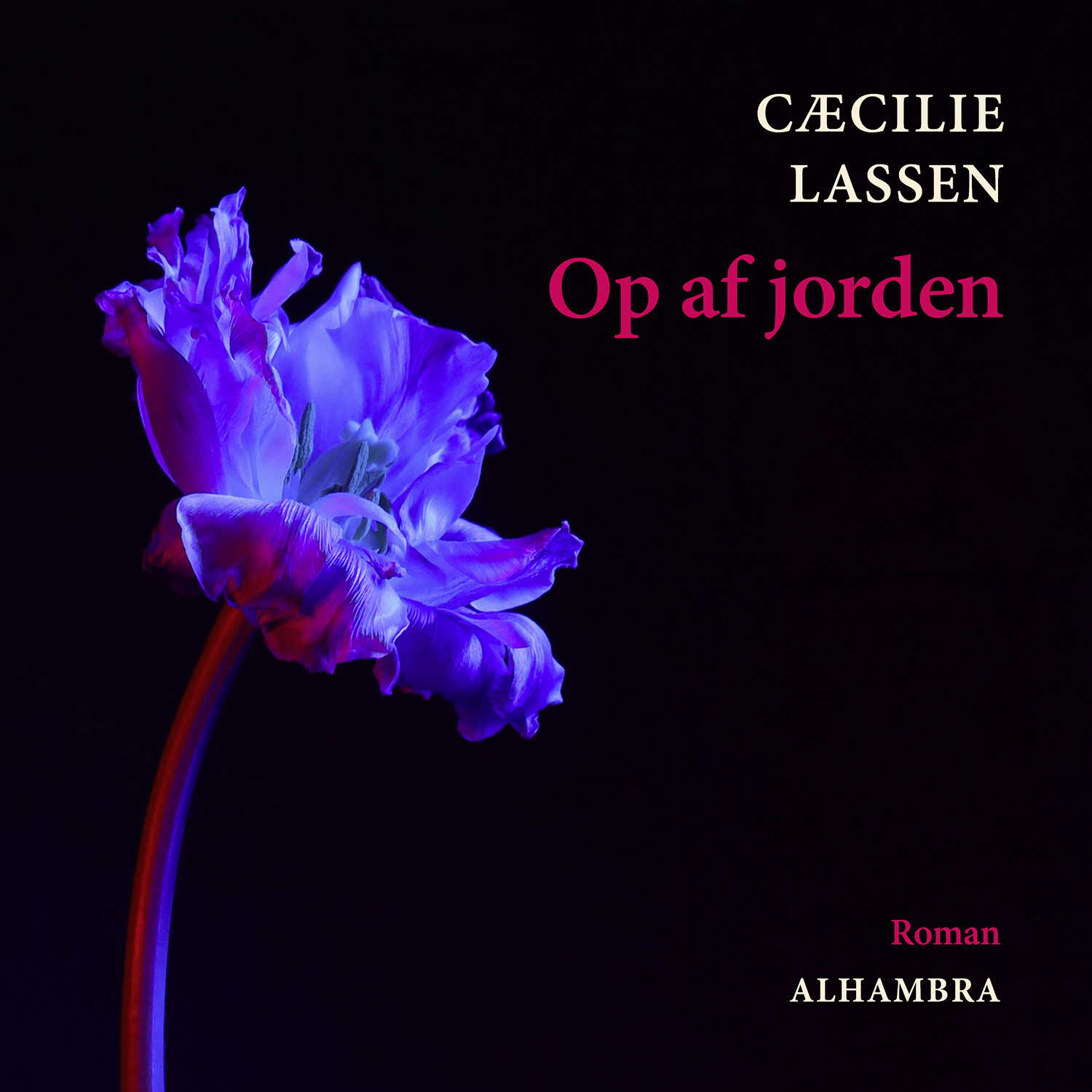 Cæcilie Lassen om sin nye roman Op af jorden