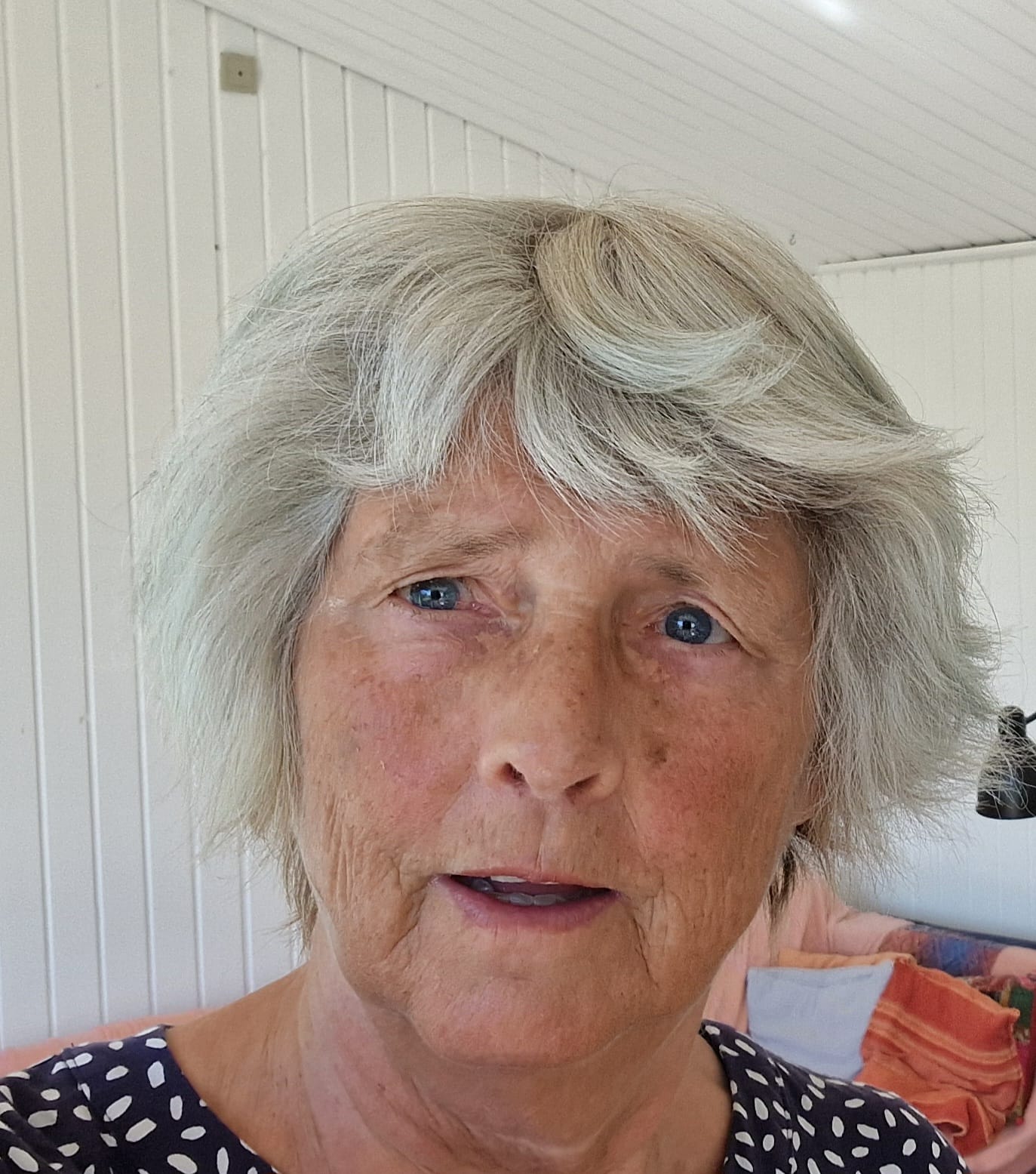 #ForbudteBøger – Om bogcensur i USA i dag