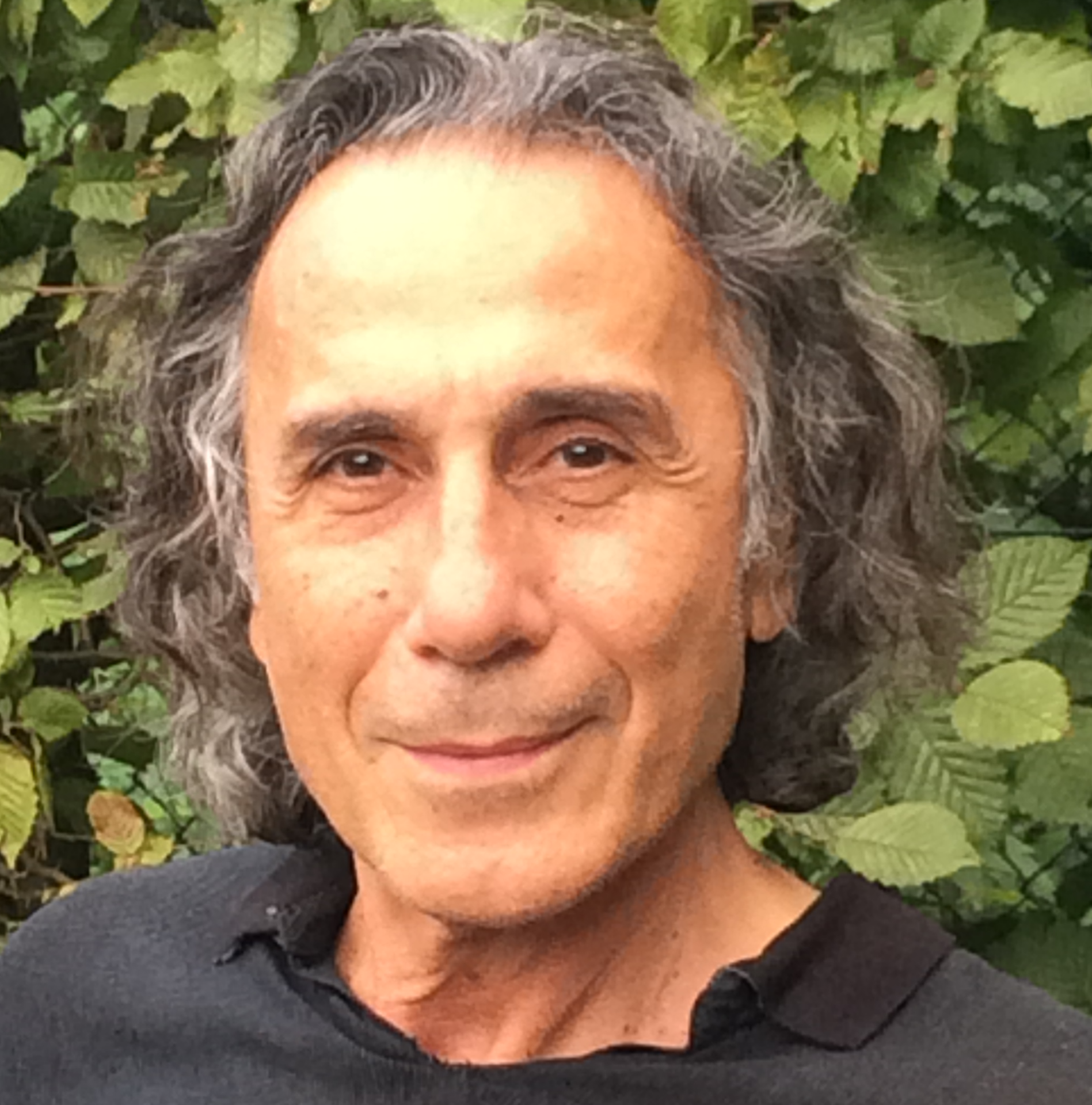 Salim Abdali