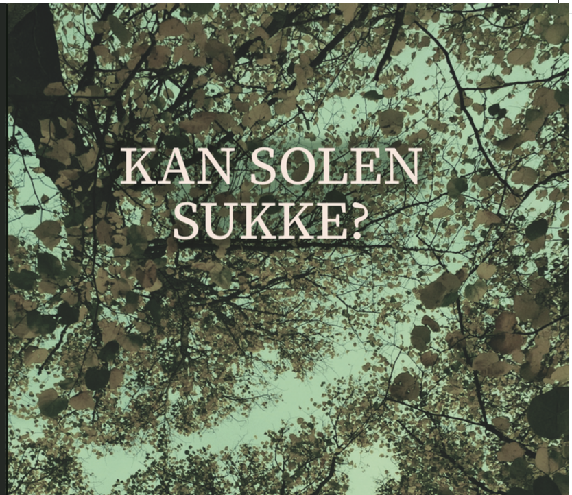 Kan ordene ændre virkeligheden?