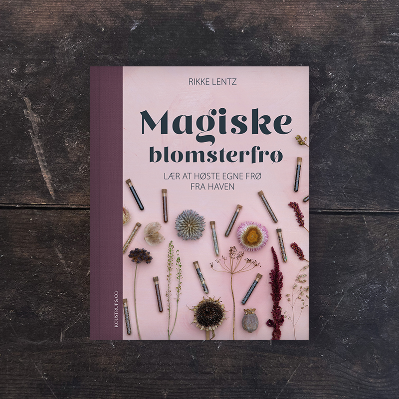 Rikke Lentz signerer Magiske blomsterfrø