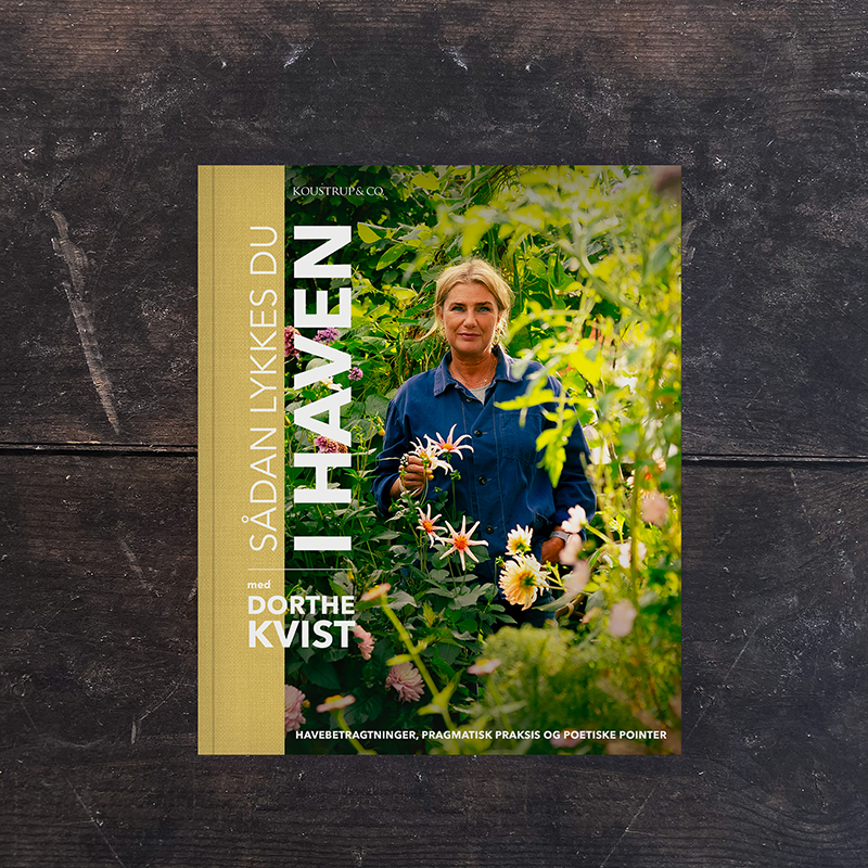 Sådan får du succes i haven– mød Dorthe Kvist