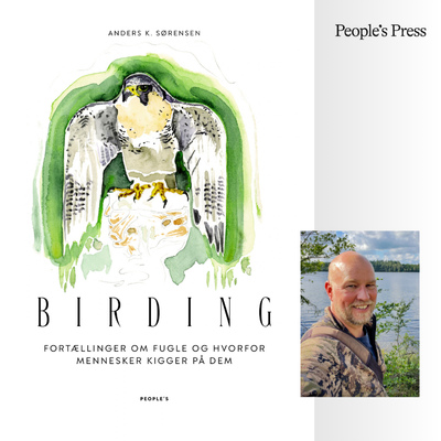 Kunsten at kigge på fugle. Anders K. Sørensen om ‘Birding’